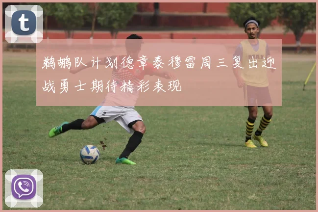 鹈鹕队计划德章泰穆雷周三复出迎战勇士期待精彩表现