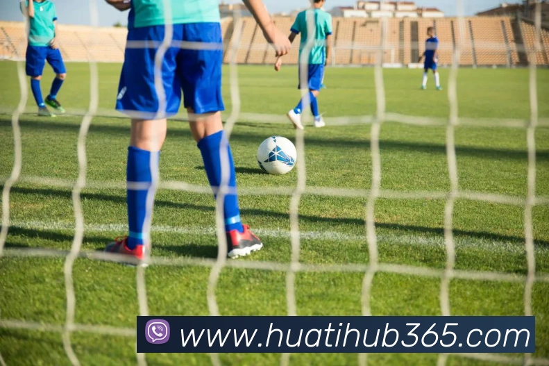 华体会体育平台生态图